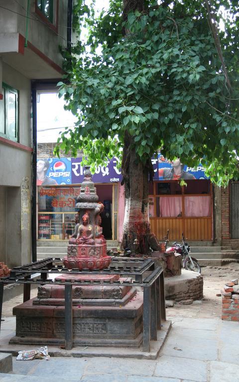 Hotel Avalon House Katmandu Zewnętrze zdjęcie